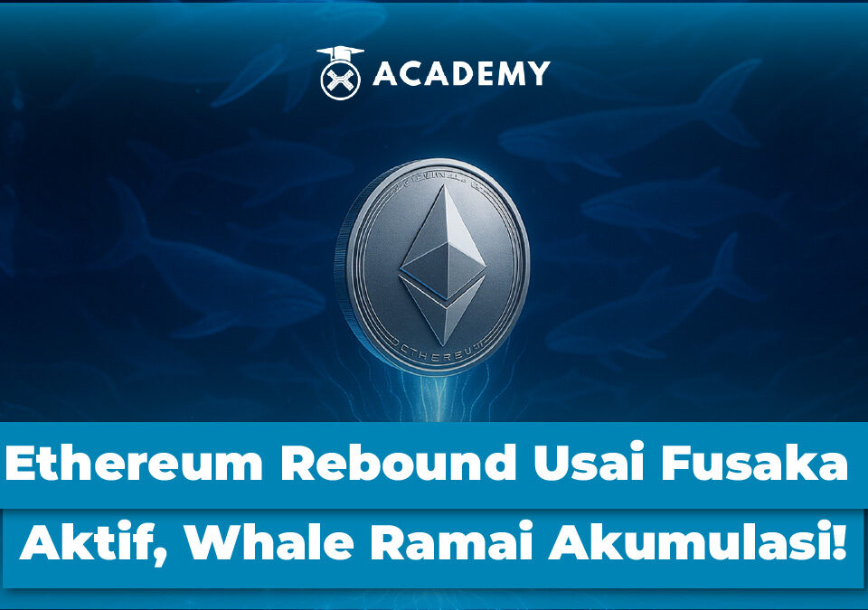 Ethereum (ETH) Rebound Usai Fusaka Aktif, Whale Ramai Akumulasi!