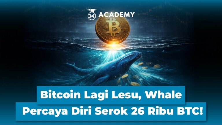 Bitcoin Lagi Lesu, Whale Percaya Diri Serok 26 Ribu BTC!