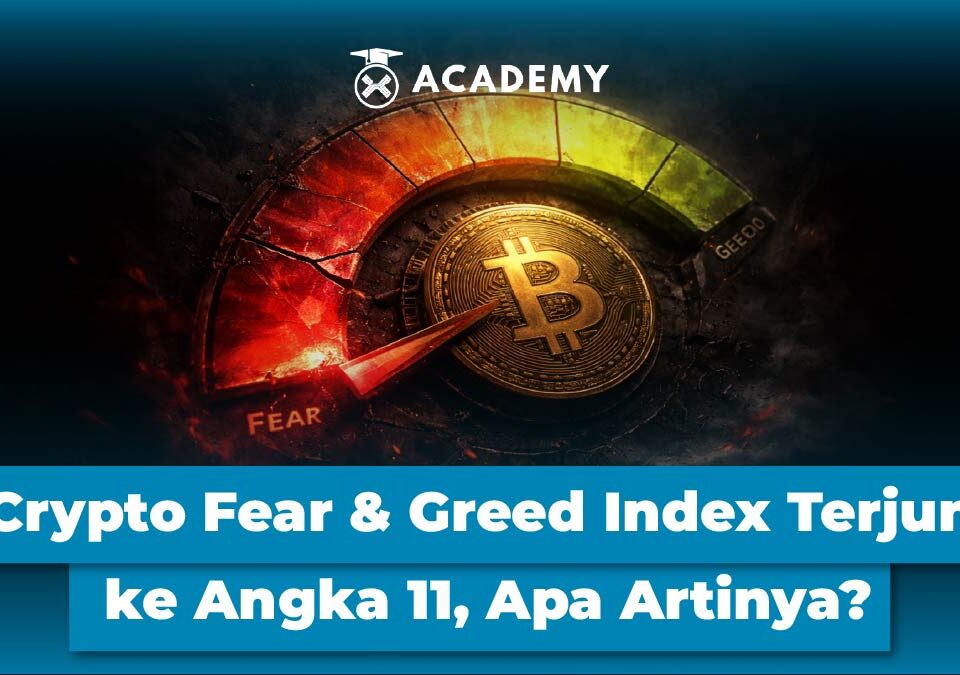 Crypto Fear & Greed Index Terjun ke Angka 11 Hari Ini, Apa Artinya?