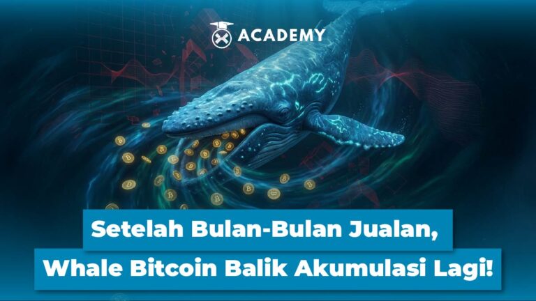 Setelah Berbulan-bulan Jualan, Whale Bitcoin Balik Akumulasi Lagi!