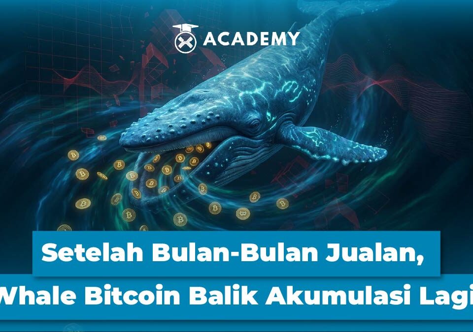 Setelah Berbulan-bulan Jualan, Whale Bitcoin Balik Akumulasi Lagi!