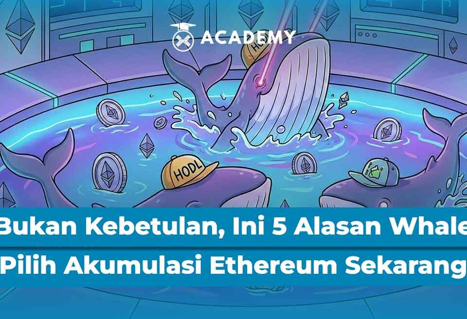 Bukan Kebetulan, Ini 5 Alasan Whale Pilih Akumulasi Ethereum Sekarang