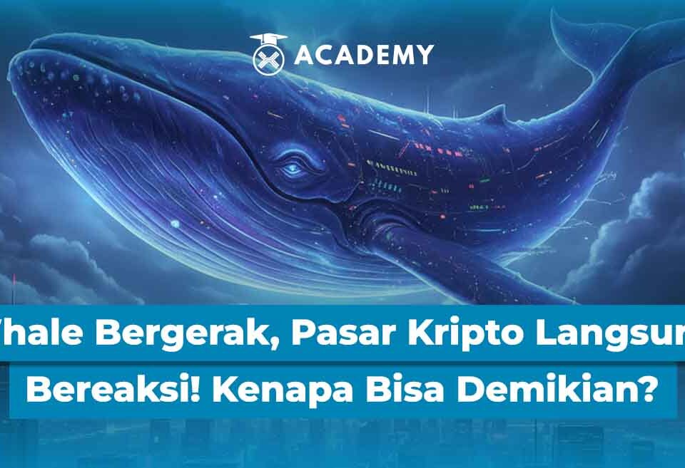 Whale Bergerak, Pasar Kripto Langsung Bereaksi! Kenapa Bisa Demikian?