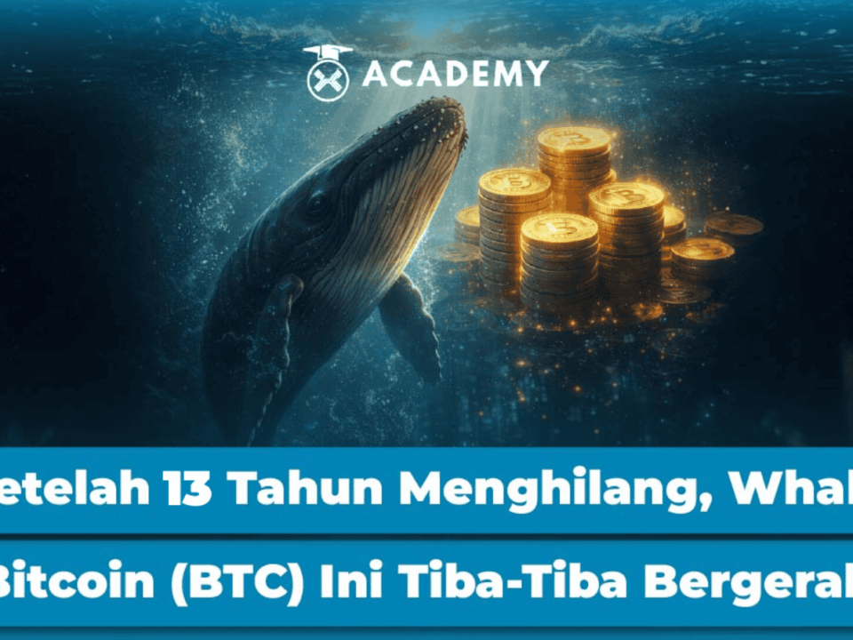 Setelah 13 Tahun Menghilang, Whale Bitcoin (BTC) Ini Tiba-Tiba Bergerak