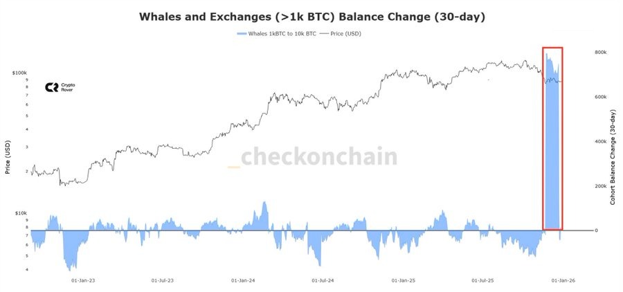 Whale Bitcoin Whale Bitcoin