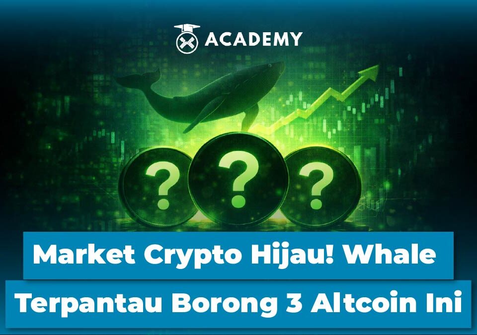 Market Crypto Hijau! Whale Terpantau Borong 3 Altcoin Ini