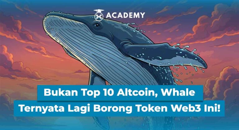 Bukan Top 10 Altcoin, Whale Ternyata Lagi Borong Token Web3 Ini!