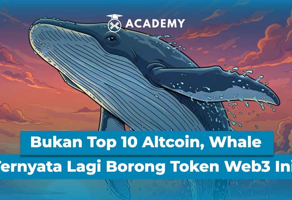 Bukan Top 10 Altcoin, Whale Ternyata Lagi Borong Token Web3 Ini!