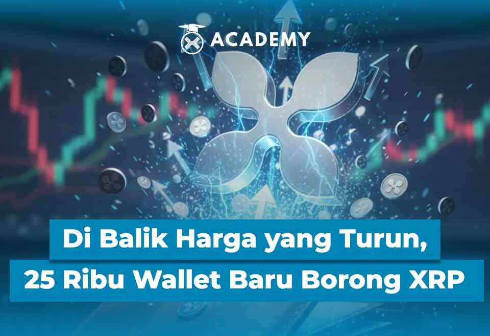 Di Balik Harga yang Turun, 25 Ribu Wallet Baru Borong XRP