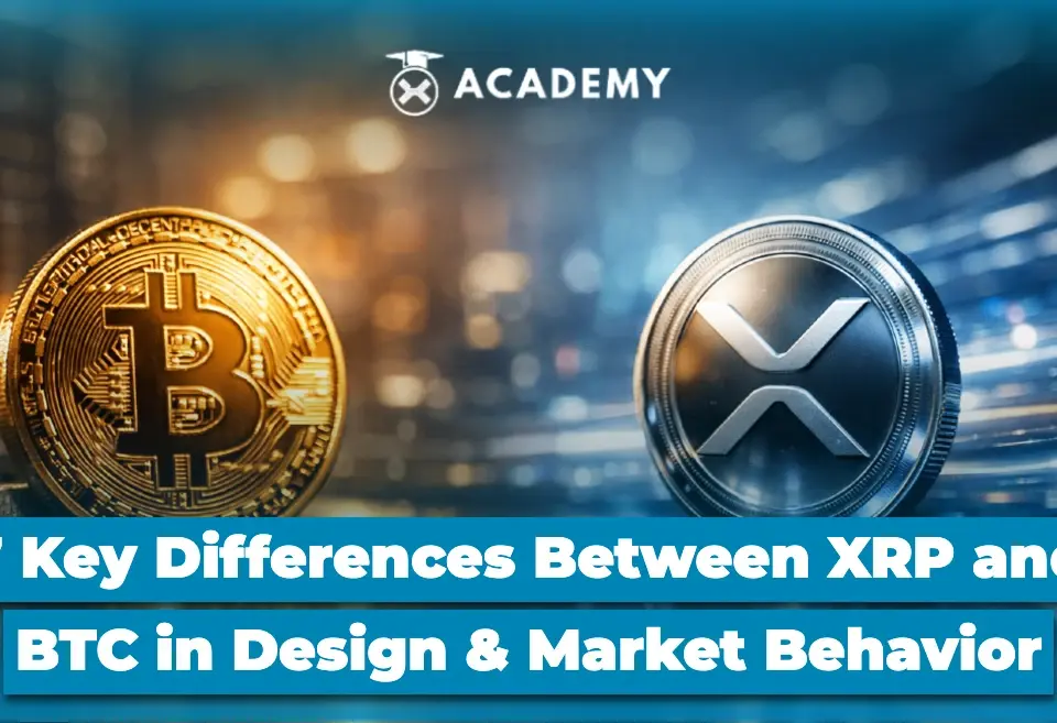 7 Key Differences Between XRP and BTC in Design & Market Behavior
