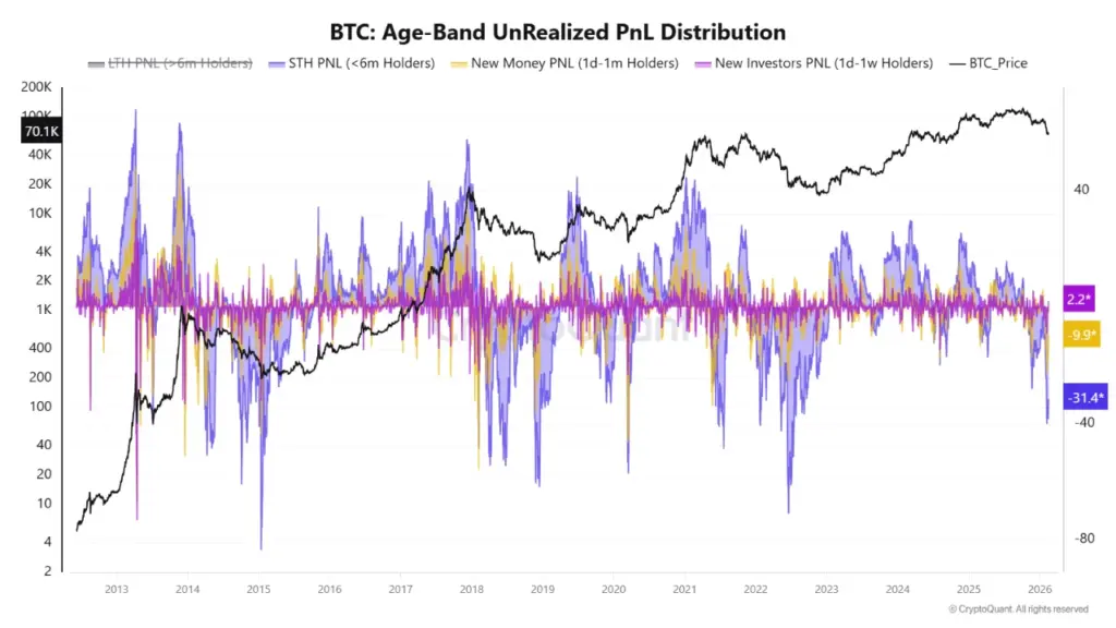 BTC PnL BTC PnL