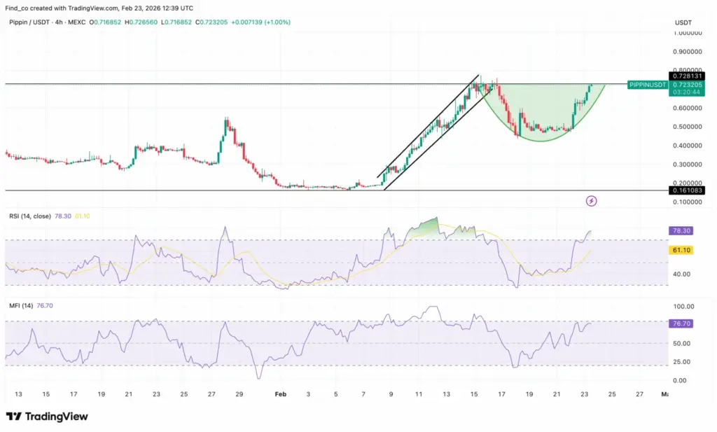 RSI MFI Pippin