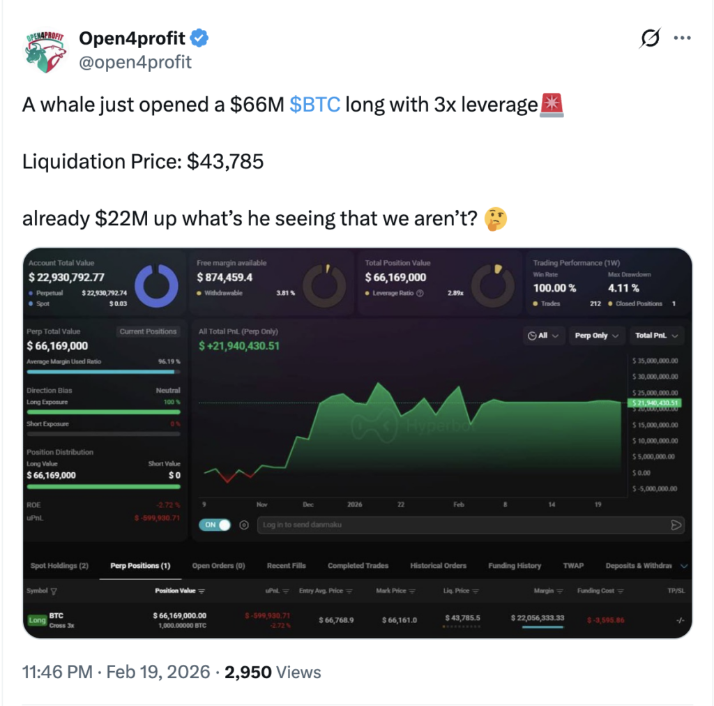 Whale Bitcoin