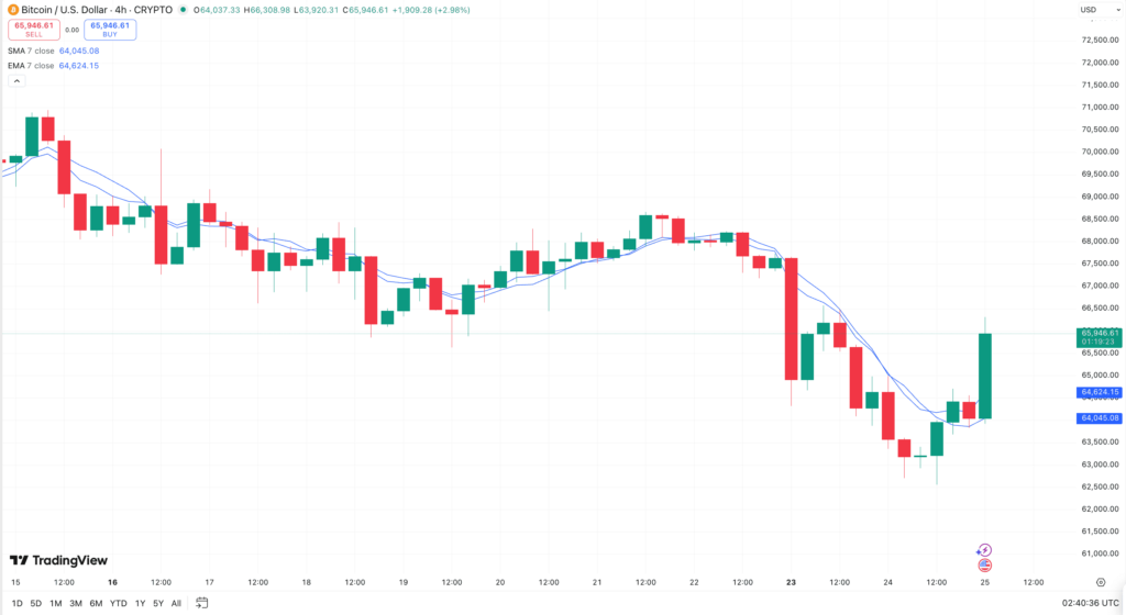 MA Bitcoin 