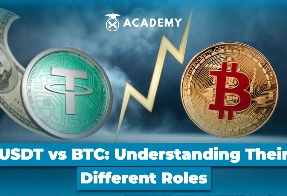 USDT vs BTC Understanding Their Different Roles