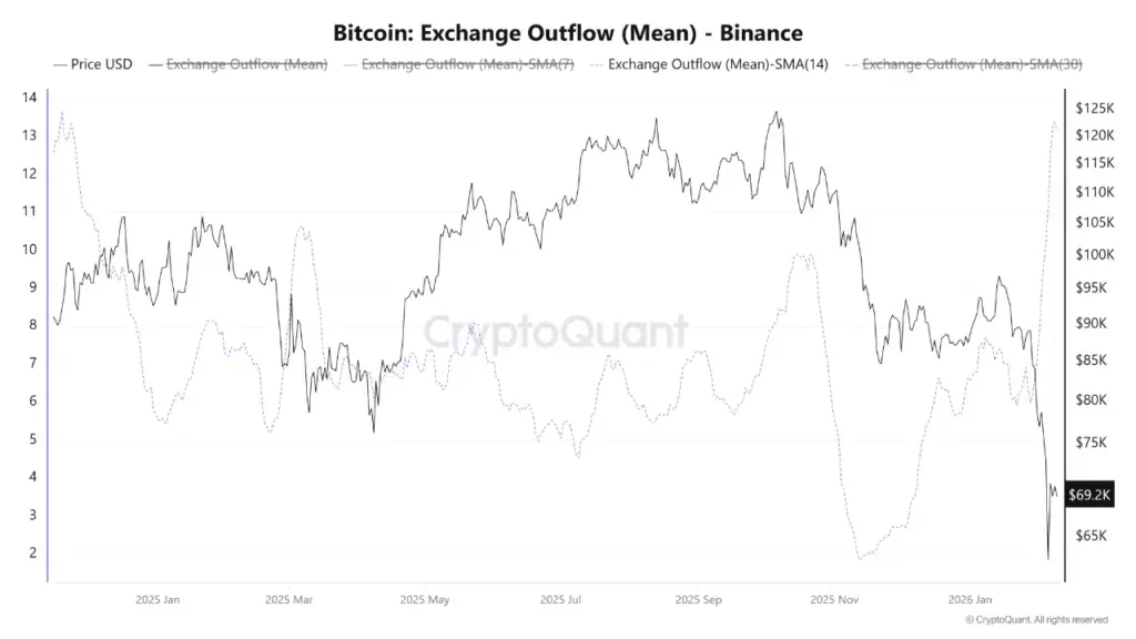 Whale Bitcoin Whale Bitcoin