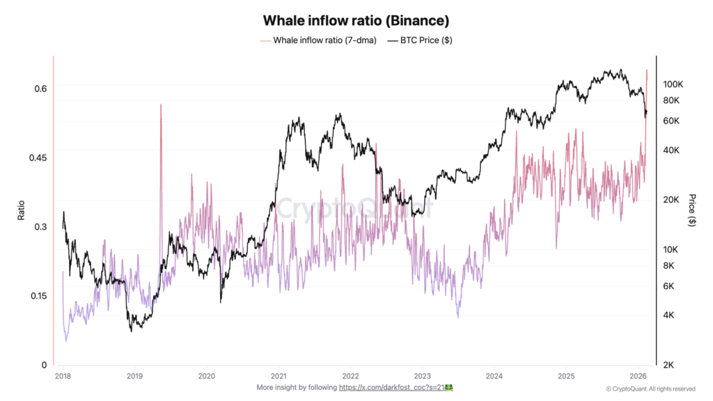 Whale Inflow
