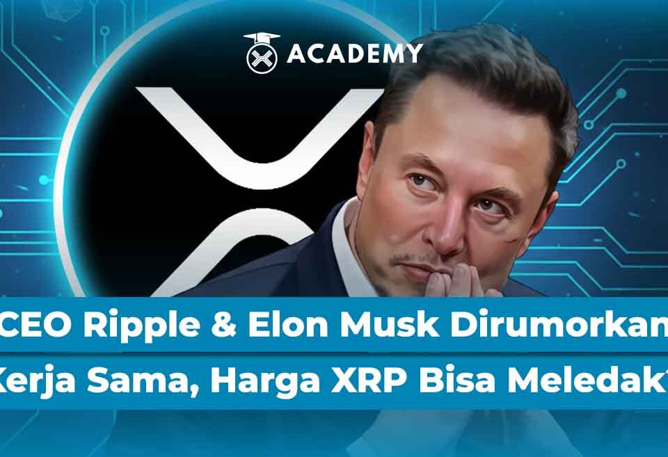 CEO Ripple & Elon Musk Dirumorkan Kerja Sama, Harga XRP Bisa Meledak?