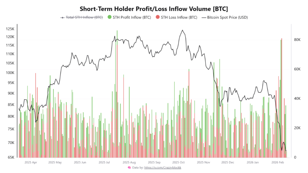 short term holder
