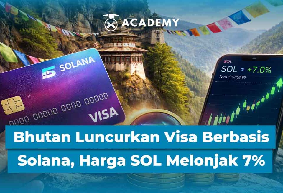 solaa Image Article