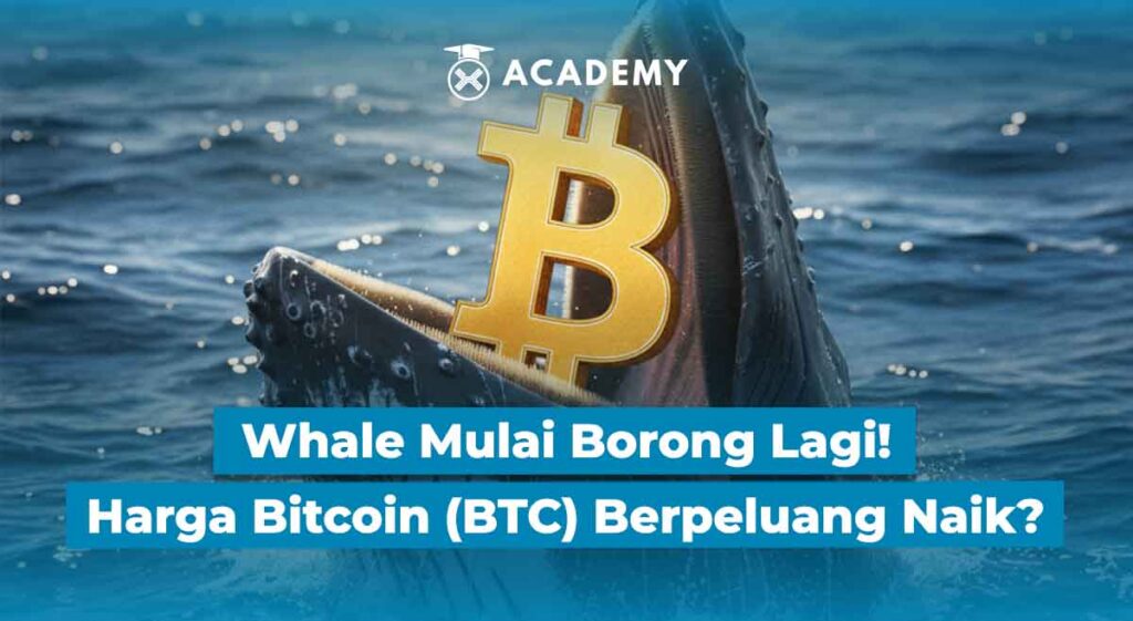 Whale Mulai Borong Lagi! Harga Bitcoin (BTC) Berpeluang Naik?