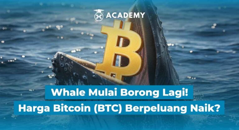 Whale Mulai Borong Lagi! Harga Bitcoin (BTC) Berpeluang Naik?