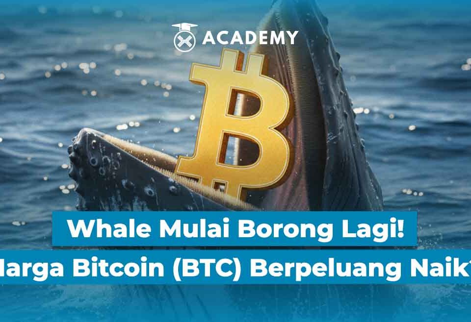 Whale Mulai Borong Lagi! Harga Bitcoin (BTC) Berpeluang Naik?