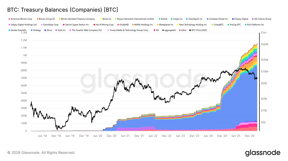 BTC Treasury