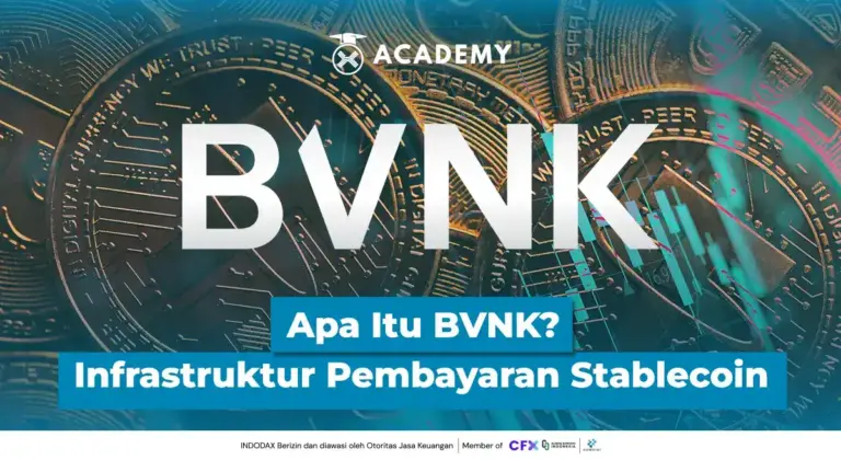 What Is BVNK? Stablecoin Payment Infrastructure