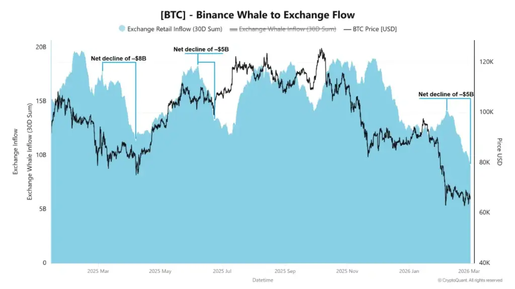 Binance Whale