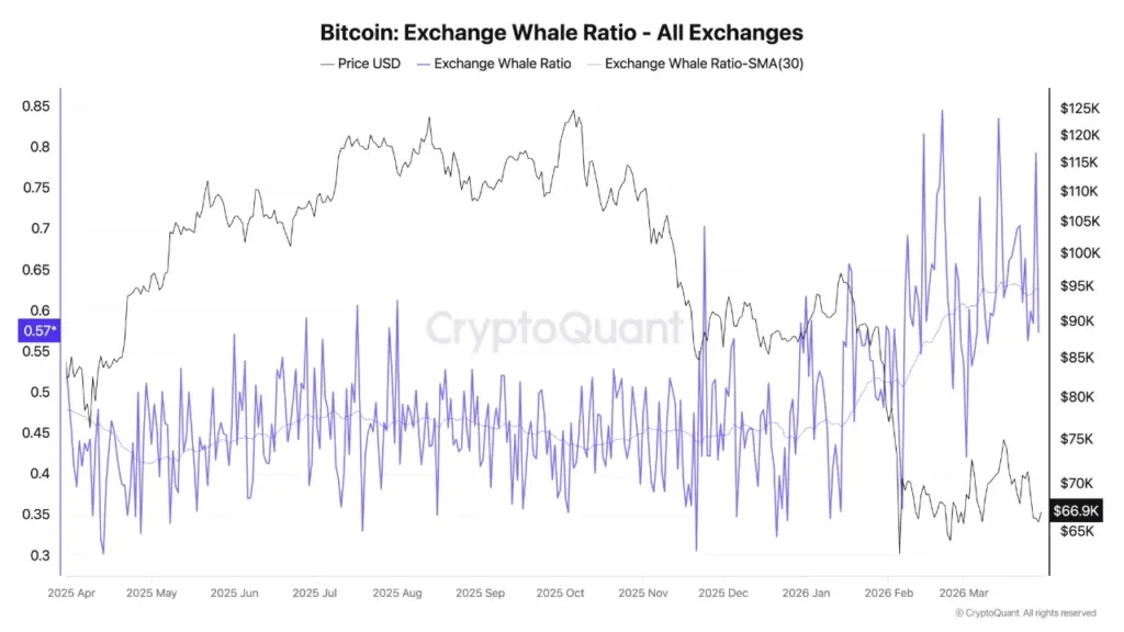 Bitcoin Exchange Whale Rasio