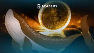Bitcoin OG 3