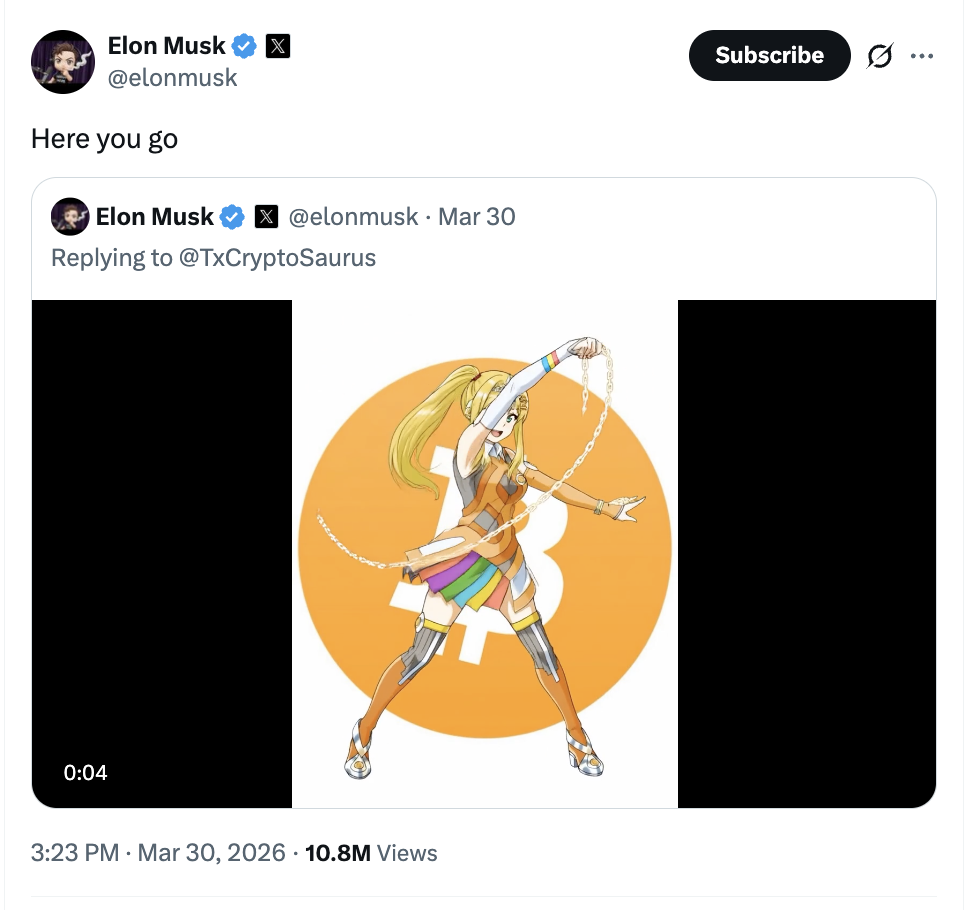 Elon Musk Bitcoin Elon Musk Bitcoin