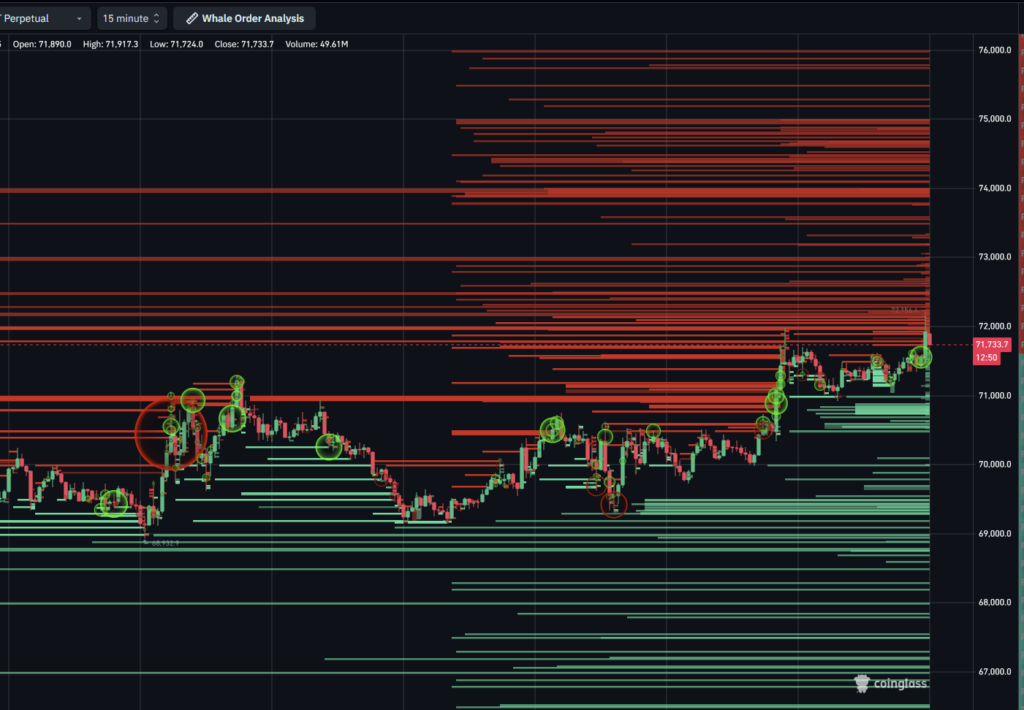 Whale Order BTC