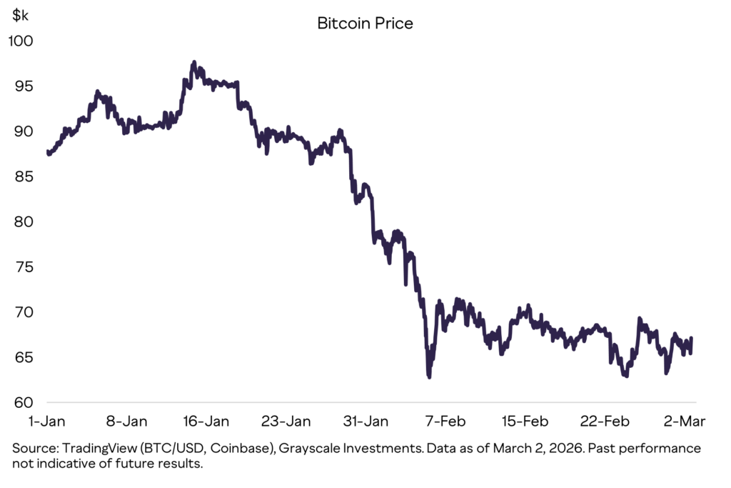 bitcindjsd