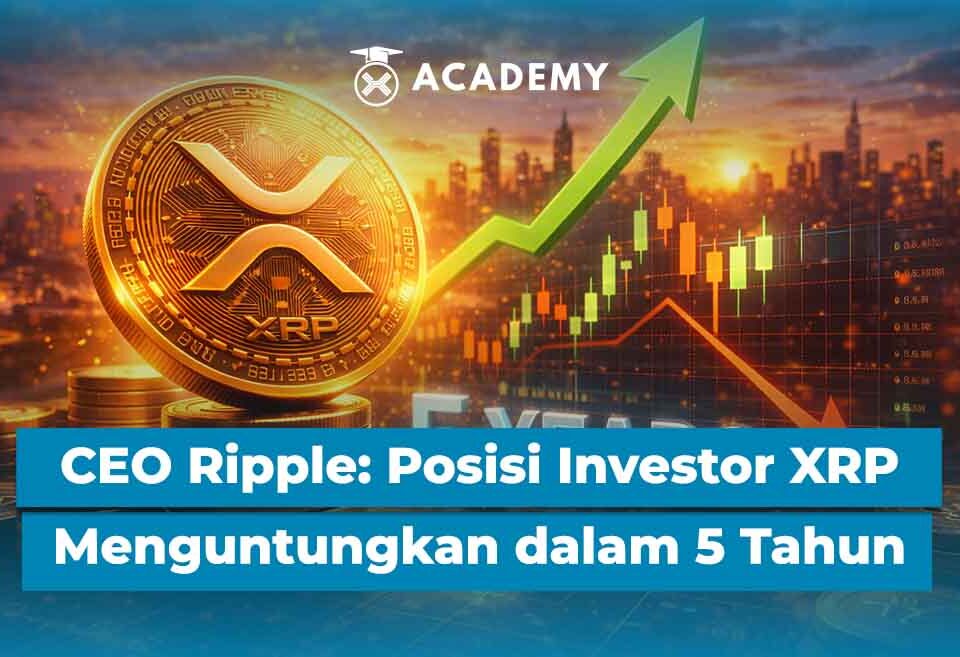 CEO Ripple: Investor XRP Berada di Posisi Menguntungkan dalam 5 Tahun