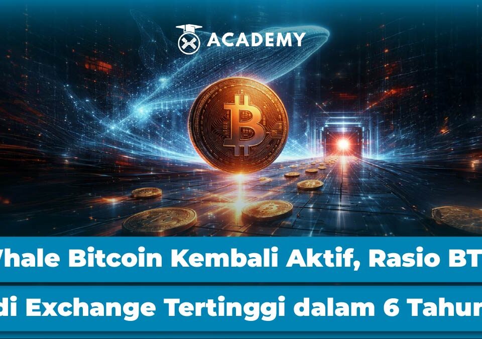 Whale Bitcoin Kembali Aktif, Rasio BTC di Exchange Tertinggi dalam 6 Tahun