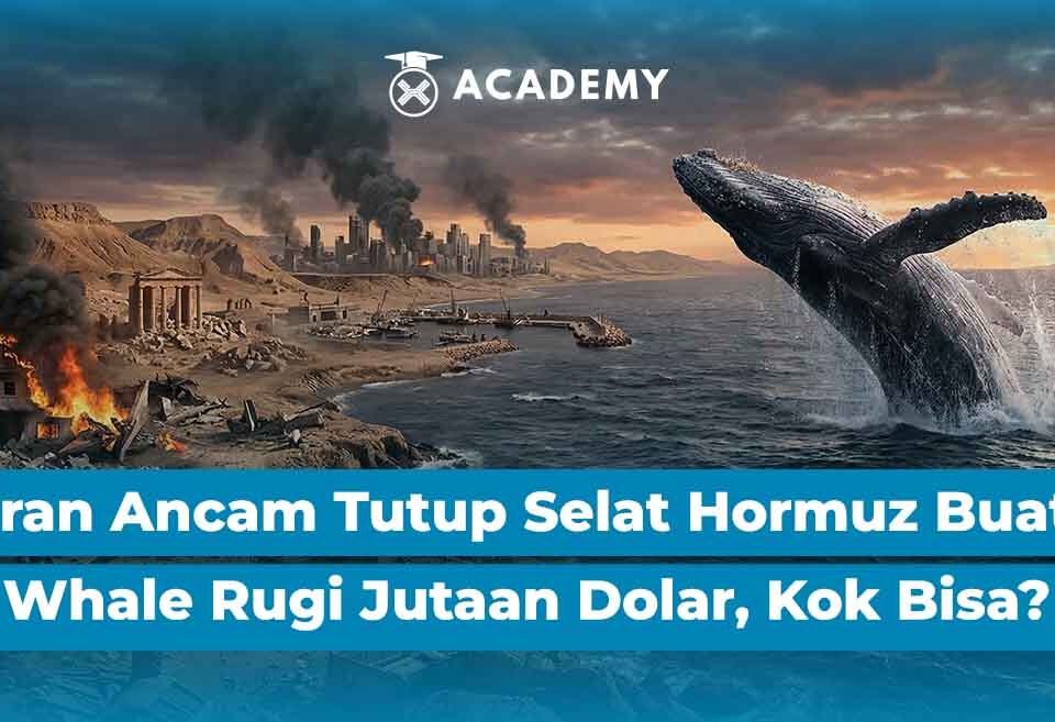 Iran Ancam Tutup Selat Hormuz Buat Whale FOMO Rugi Jutaan Dolar, Kok Bisa?
