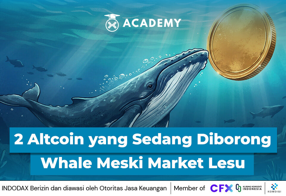 2 Altcoin yang Sedang Diborong Whale Meski Market Lesu