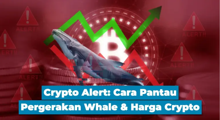 Crypto Alert: Cara Pantau Pergerakan Whale dan Harga Crypto