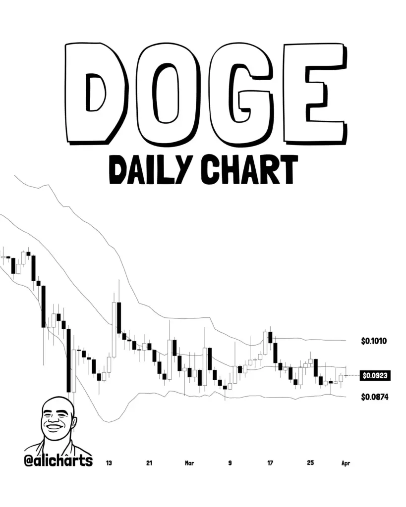 DOGE DOGE
