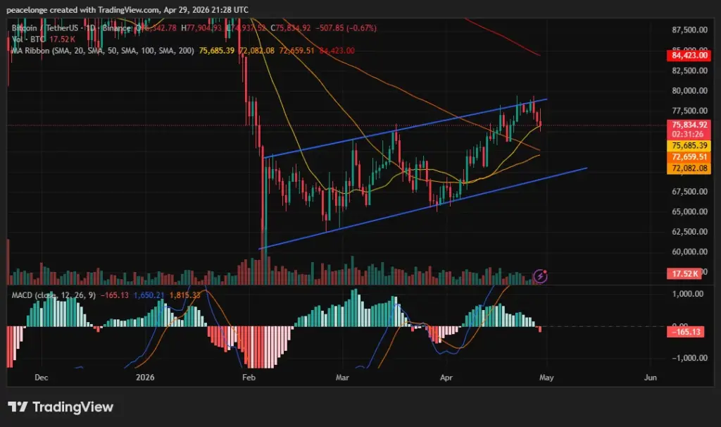 MACD Bitcoin MACD Bitcoin