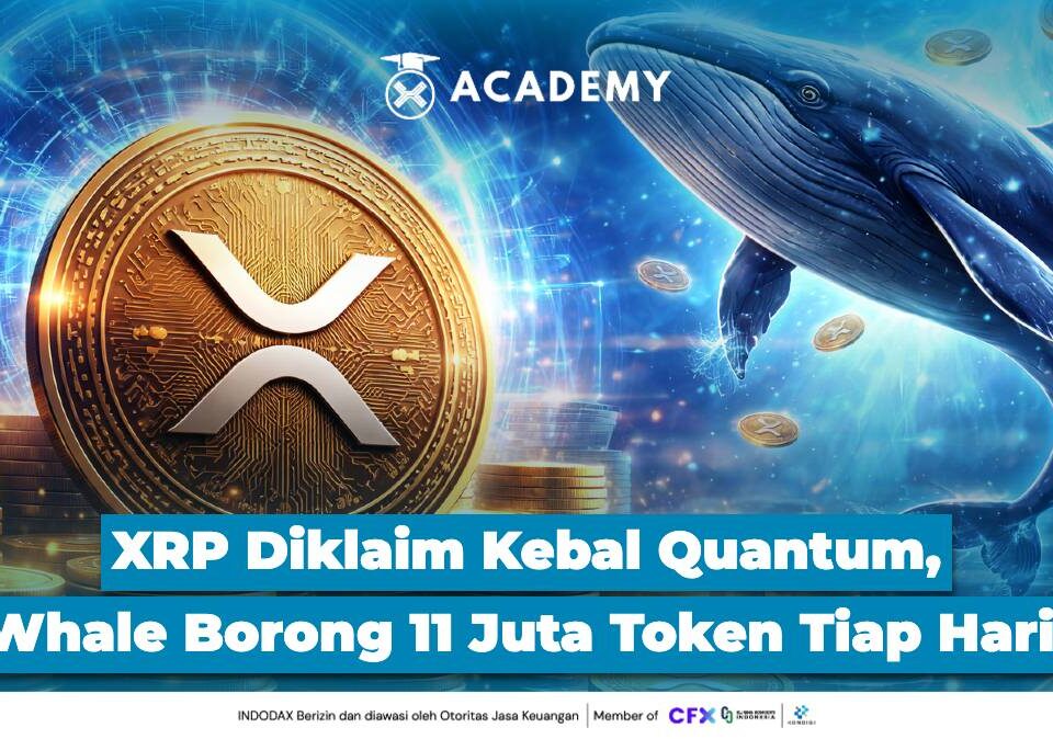 XRP Diklaim Kebal Quantum, Whale Borong 11 Juta Token Tiap Hari!