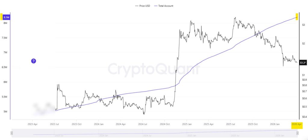 whale xrp