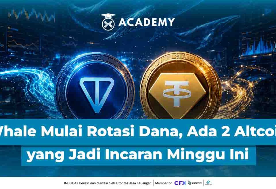 Whale Mulai Rotasi Dana, Ada 2 Altcoin yang Jadi Incaran Minggu Ini