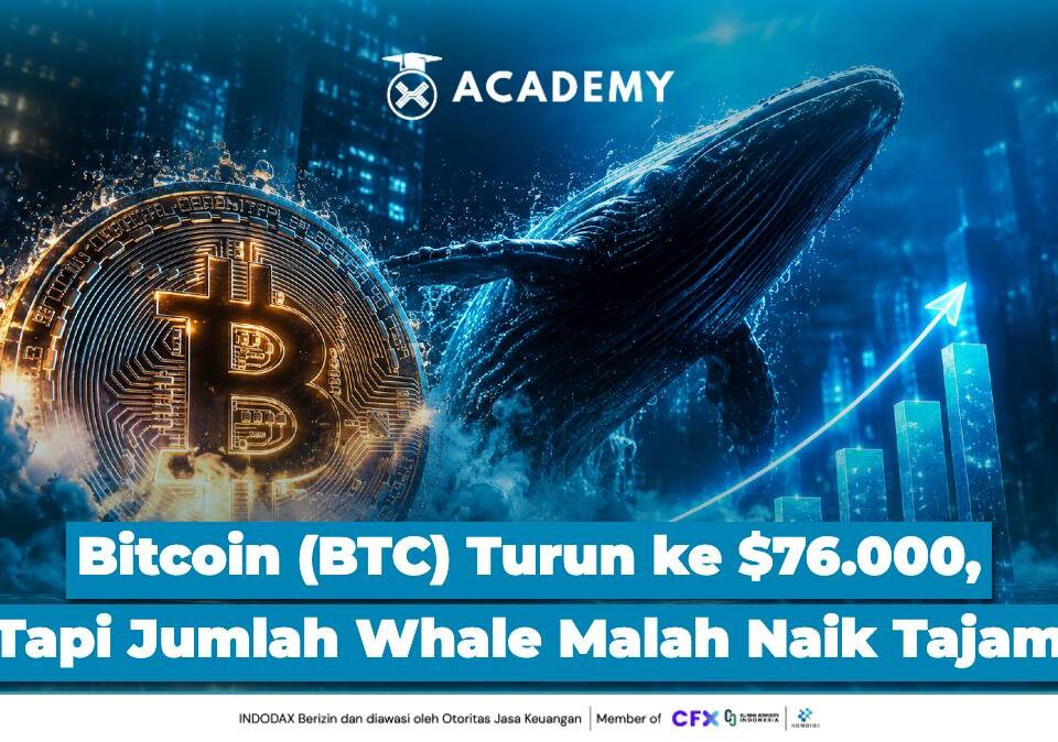 Bitcoin (BTC) Turun ke $76.000, Tapi Jumlah Whale Malah Naik Tajam