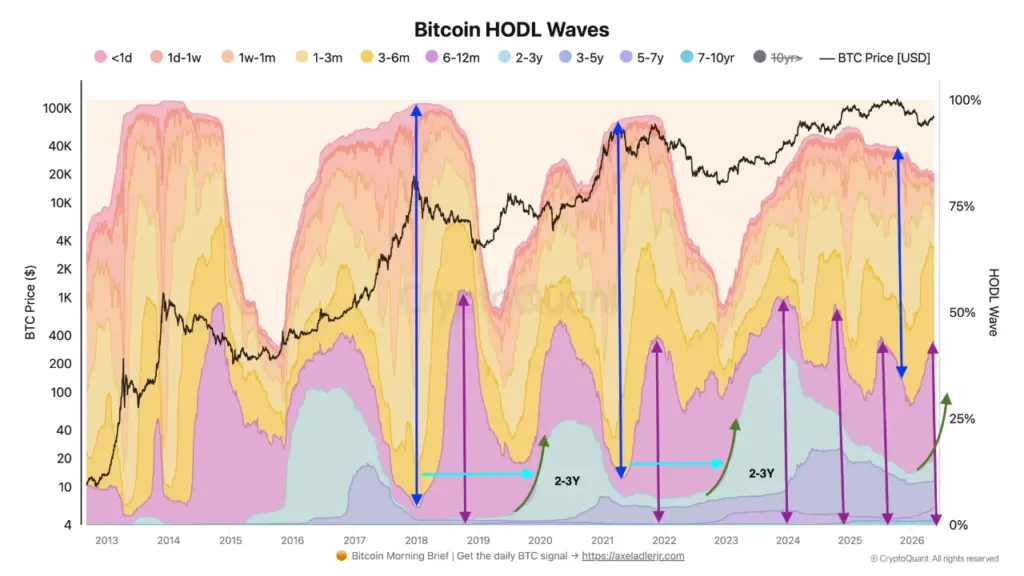 Bitcoin HODL Waves