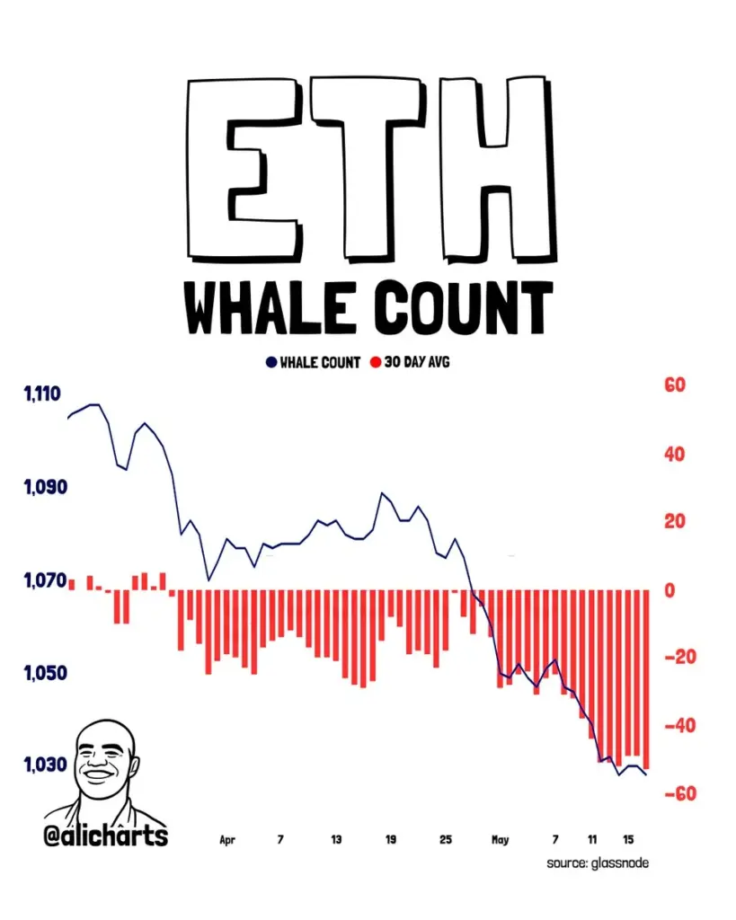 ETH Whale Count ETH Whale Count