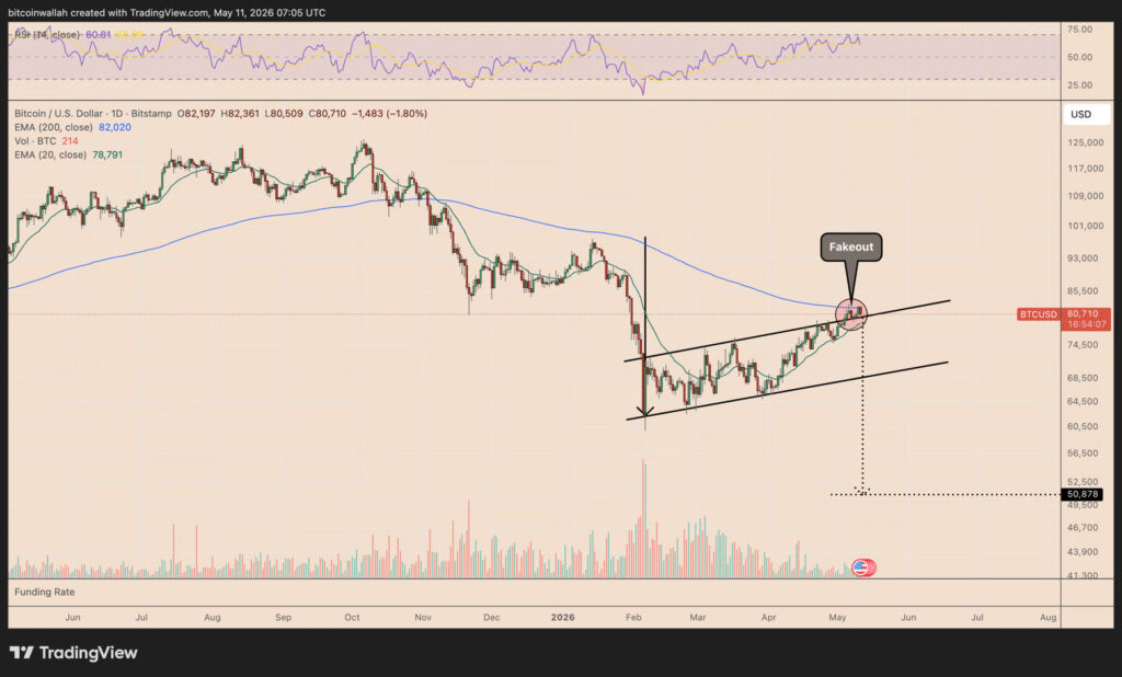 Pola bear flag
