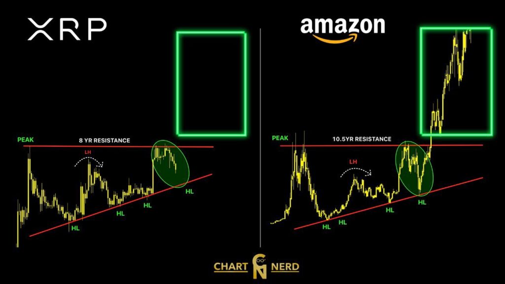XRP AMZN XRP AMZN